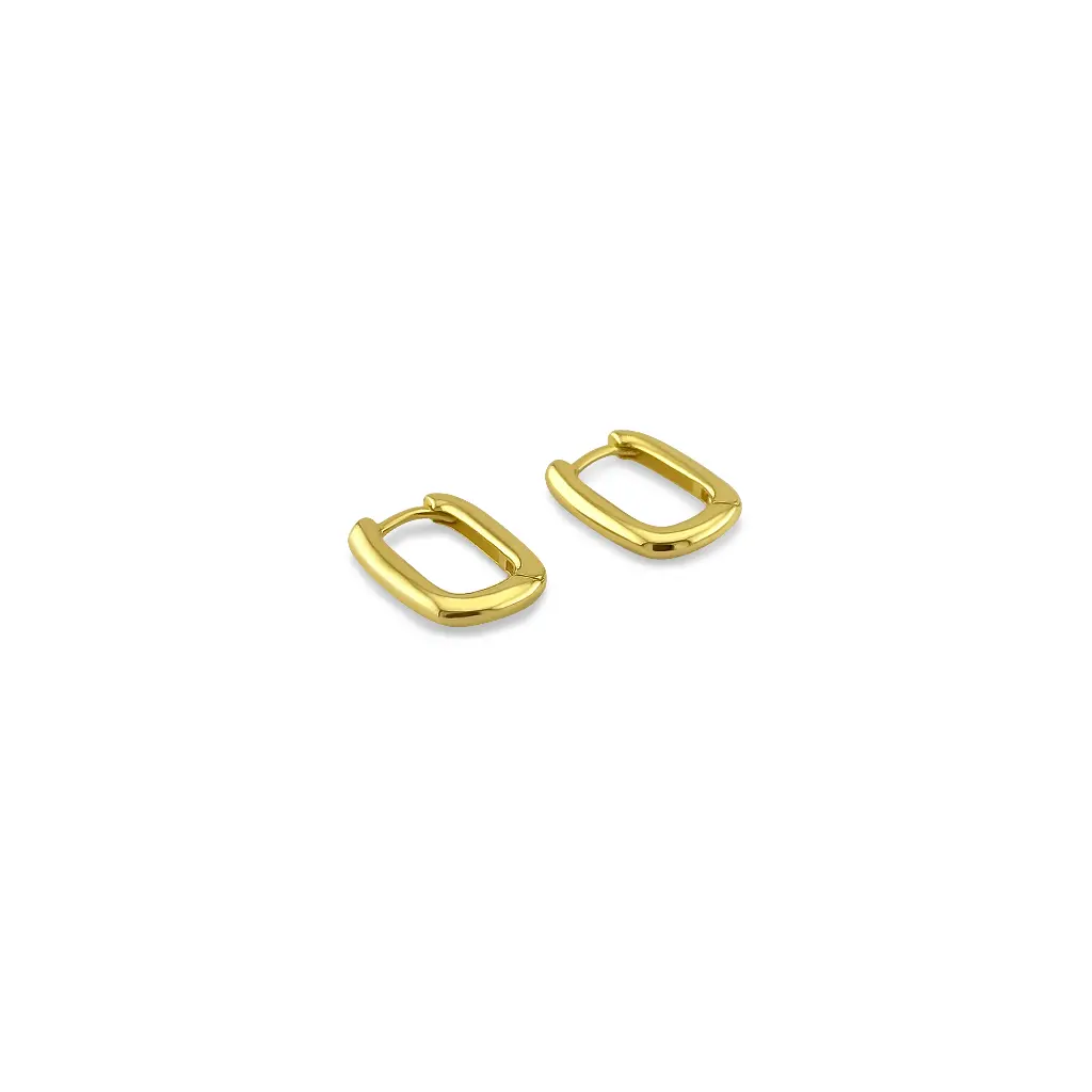 Classic Yellow Gold Hoop Earrings
