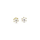 Classic Gold Plated Pearl Stud Earrings